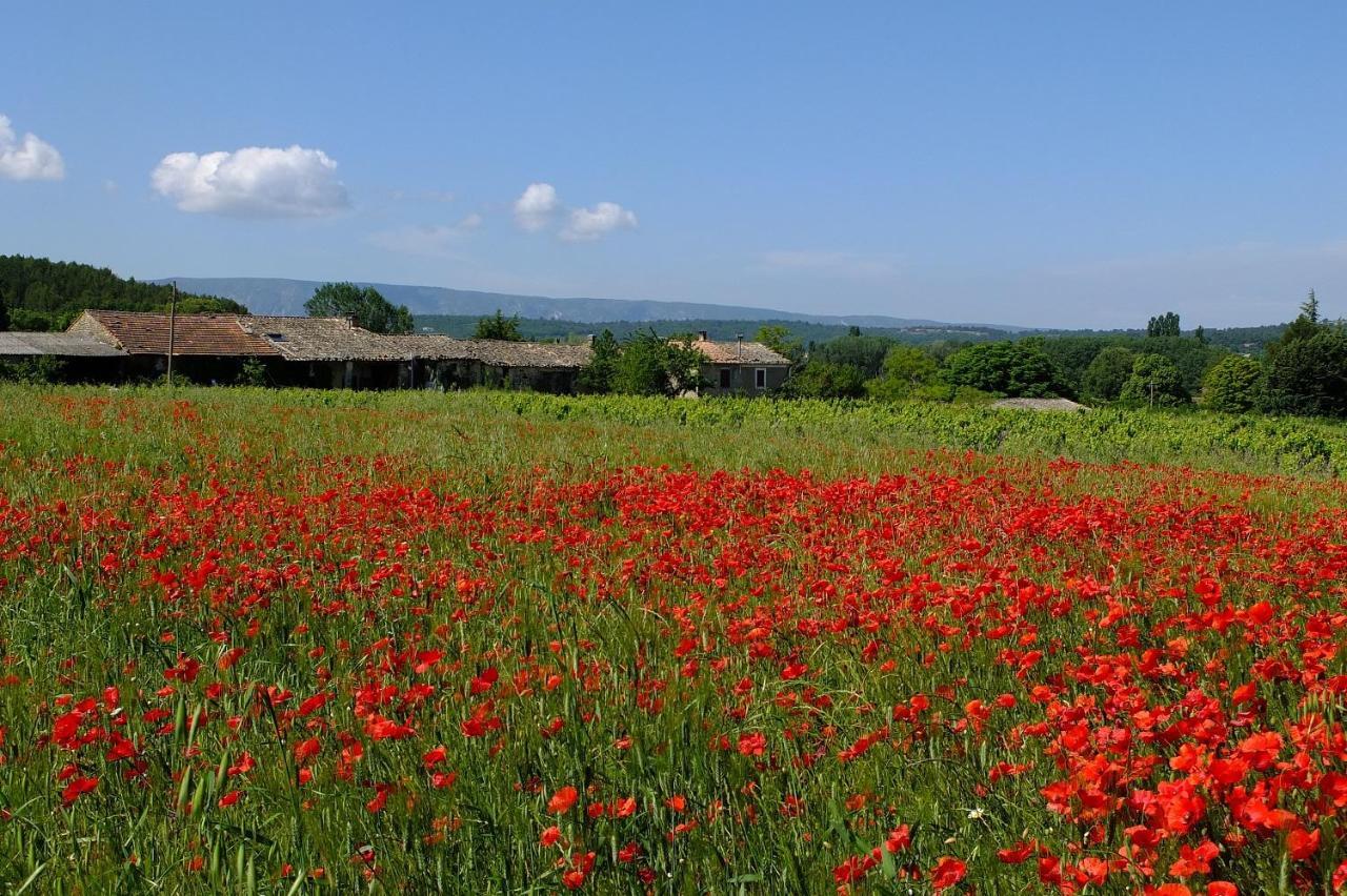 Ll Poulidetto Bed & Breakfast Lioux Bagian luar foto